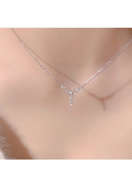 BINRONG0586 Gümüş Zirkonya Kolye (Yurt Dışından) fiyatları