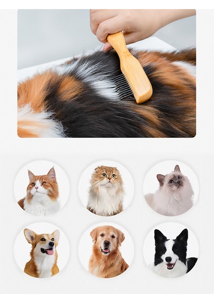 Kıtık Açıcı Kedi-Köpek Tarağı modelleri