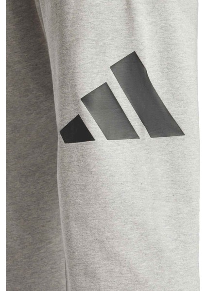 adidas M BL T P SJ MGREY GRI Erkek Eşofman Altı modelleri