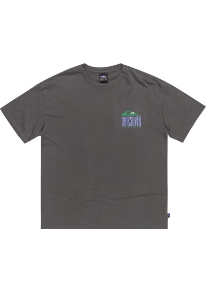 GH QS WORLD FORCE SS Gri Erkek Kısa Kol T-Shirt fiyatları