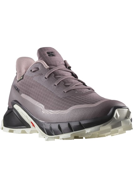 ALPHACROSS 5 GTX W Kahverengi Kadın Outdoor modelleri