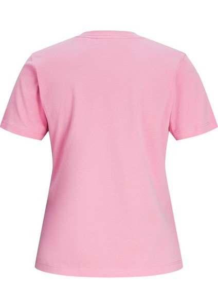 Jxava Reg Ss Tee Jrs Ekru Kadın Kısa Kol T-Shirt modelleri