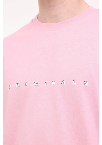 Joreaster Actıvıty Tee Ss Pembe Erkek Kısa Kol T-Shirt indirimleri