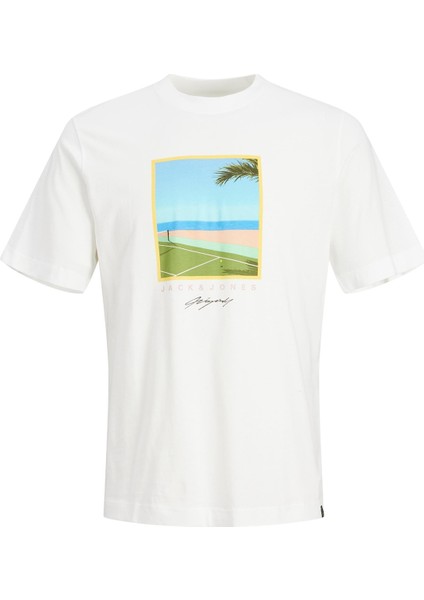 JORTULUM LANDSCAPE TEE SS Beyaz Erkek Kısa Kol T-Shirt fiyatları