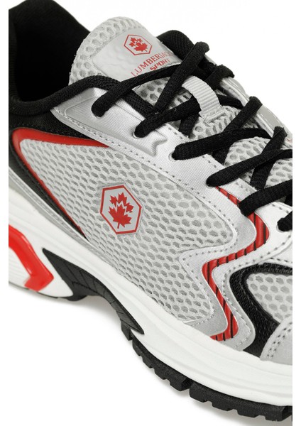 Chuck 4pr Gri Erkek Sneaker