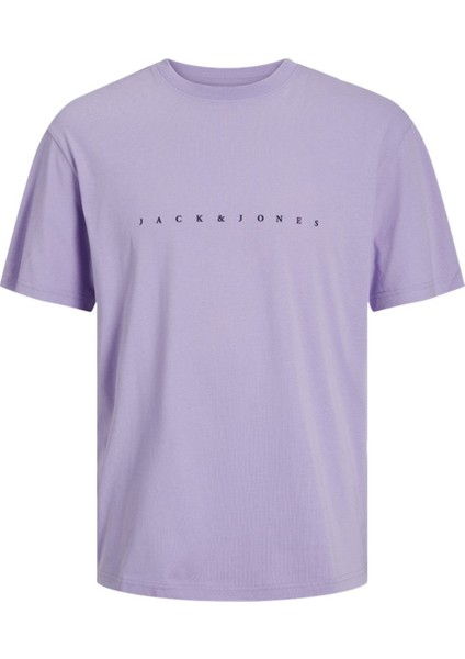 JJESTAR JJ TEE SS NOOS Mor Erkek Kısa Kol T-Shirt fiyatları