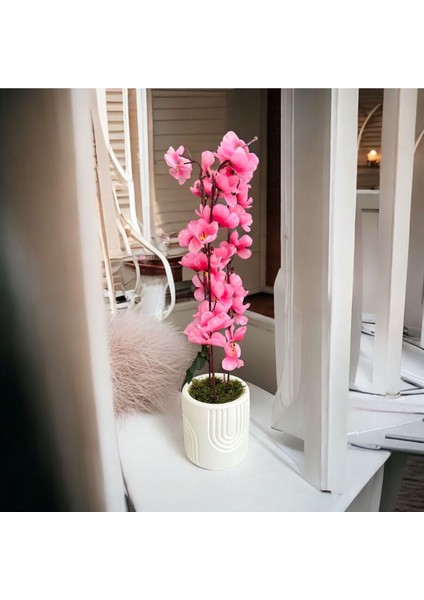 Beton Saksıda Gerçek Taş Yosunlu Yapay Japon Kiraz Çiçeği,saksı ,aranjman , Anneler Günü Hediyesi