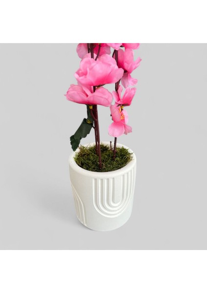 Beton Saksıda Gerçek Taş Yosunlu Yapay Japon Kiraz Çiçeği,saksı ,aranjman , Anneler Günü Hediyesi fiyatları