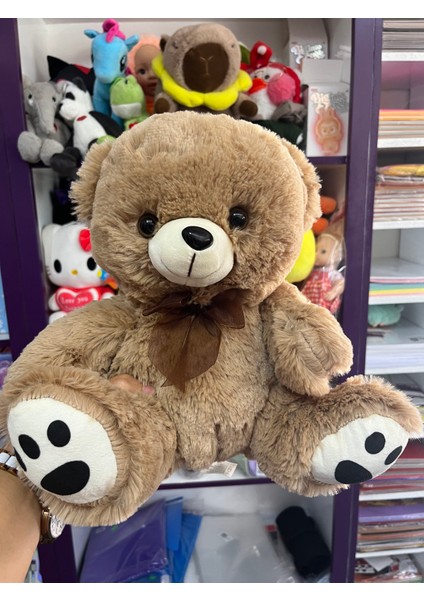 Kahverengi Peluş Ayıcık