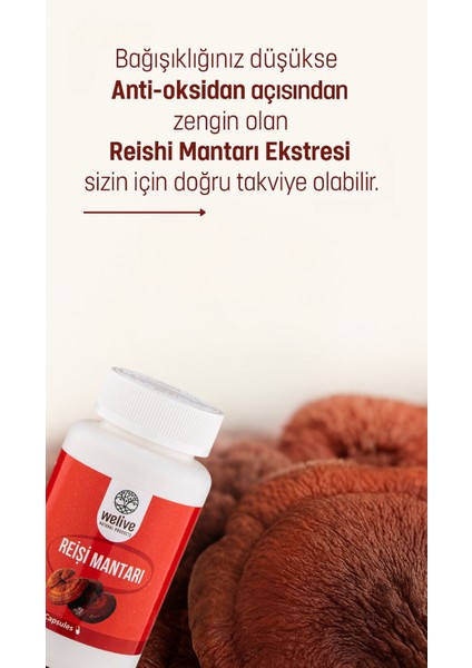 Reişi Mantarı 60 Capsul fiyatları