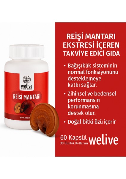 Reişi Mantarı 60 Capsul modelleri