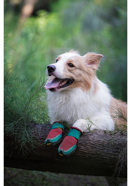 Vibram Tabanlı, Reflektörlü Kırmızı-Mavi Köpek Ayakkabısı modelleri