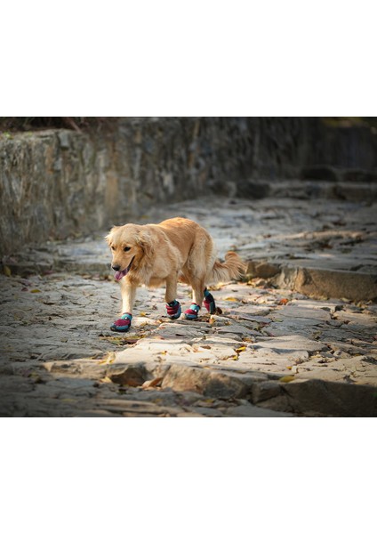 Vibram Tabanlı, Reflektörlü Kırmızı-Mavi Köpek Ayakkabısı fırsatları