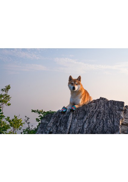 Vibram Tabanlı, Reflektörlü Kırmızı-Mavi Köpek Ayakkabısı indirimleri
