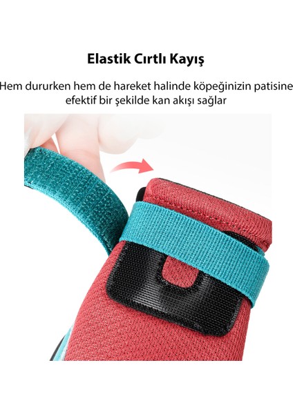 Vibram Tabanlı, Reflektörlü Kırmızı-Mavi Köpek Ayakkabısı