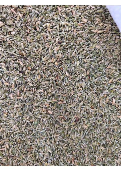 Antep Firik Bulgur modelleri