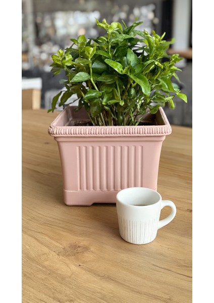 Pastel Pembe Ova Balkon Saksı No:2 – 41X16 cm Dikdörtgen Plastik Saksı