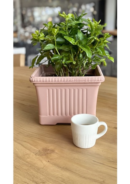 Ova Balkon Saksı No:1 – 27x16 cm, 3.5 Litre Dikdörtgen Saksı