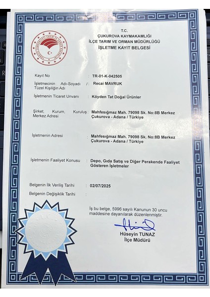 Doğal Ürünler El Yapımı Ananas Sirkesi 500 ML modelleri