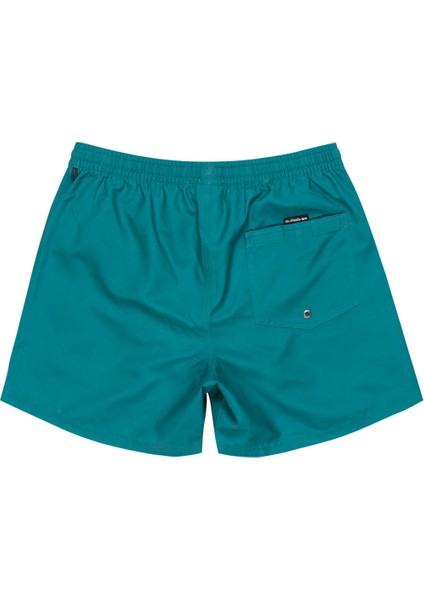 EVERYDAY SOLID VOLLEY 15 PASTEL YESIL Erkek Deniz Şortu modelleri