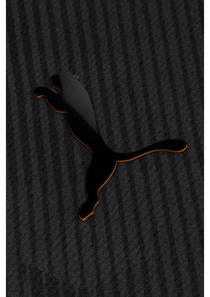 Galatasaray Puma 2024/2025 Çocuk Limited Edition Forma 78151912 fırsatları