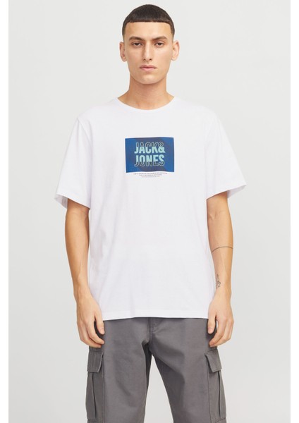 JJHUDSON TEE SS CREW NECK Beyaz Erkek Kısa Kol T-Shirt