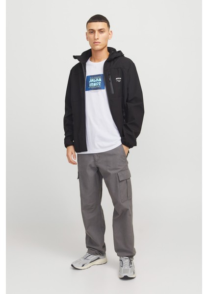 JJHUDSON TEE SS CREW NECK Beyaz Erkek Kısa Kol T-Shirt fırsatları