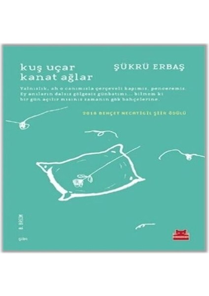 Kuş Uçar Kanat Ağlar