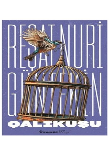 Çalıkuşu (Yeni Kapak)