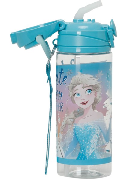 Frozen Plastik Matara 500ML Celebrate fiyatları