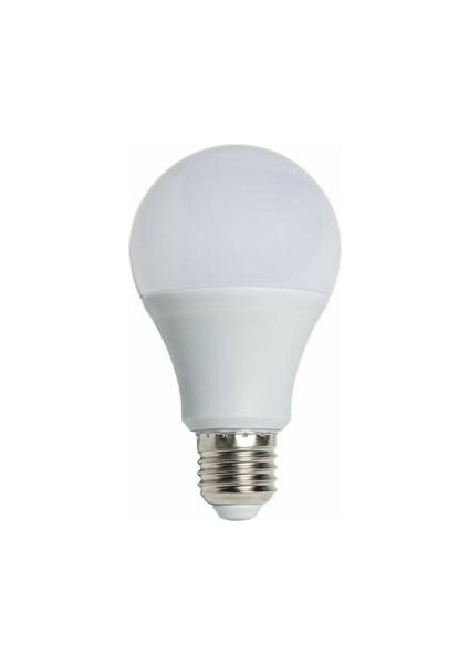 CT-4278 LED Ampül 12 Watt Beyaz