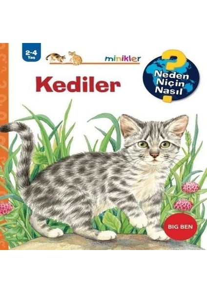 Kediler - Neden Niçin Nasıl 2 - 4 Yaş