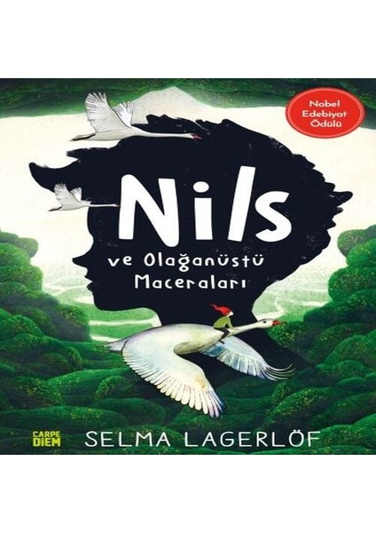 Nils ve Olağanüstü Maceraları