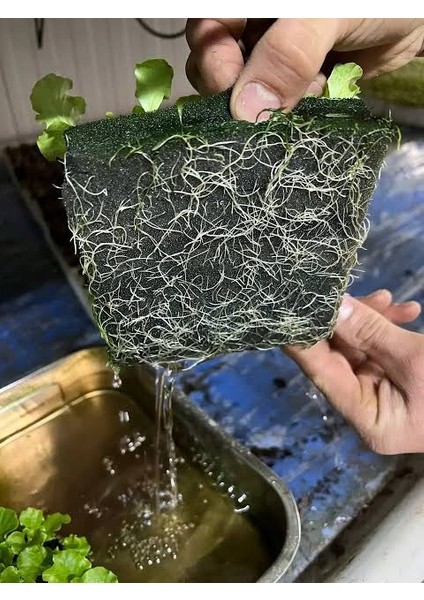 Topraksız Tarım Genel Yetiştirme Besini 1 Litre A ve B Besinleri fiyatları