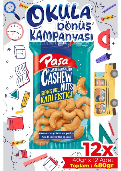 Kaju Fıstığı 40 gr x 12 Adet (480 gr)