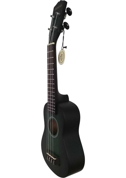 AU-H01A-21BL Ukulele Mat Mavi fiyatları