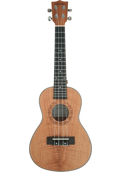 AU77LAB-23 Ukulele 23''