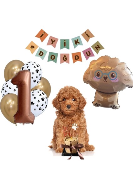 Köpekler Için Xl Parti Paketi-Doğum Günü Pastası, 1 Yaş Poodle Set