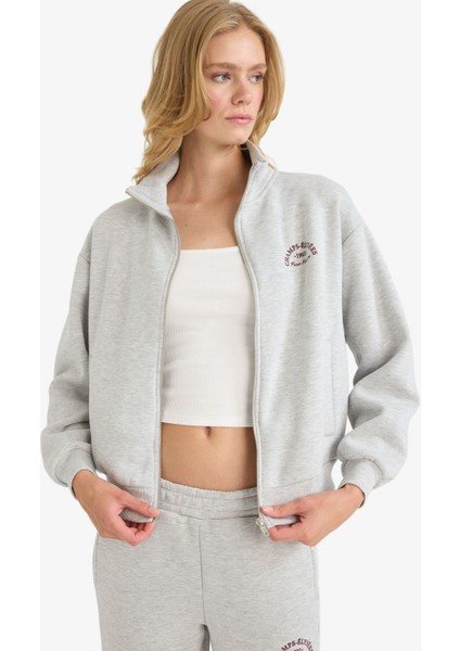 Relax Fit Yarım Balıkçı Yaka Baskılı Kalın Fermuarlı Sweatshirt E9507AX25AU fırsatları