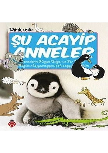 Şu Acayip Anneler