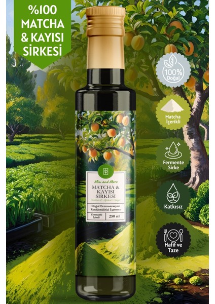 Matcha & Kayısı Sirkesi - Doğal Fermantasyon, Doğal, Katkısız, 250 ml fiyatları