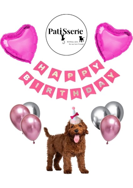 Köpekler Için Xl Parti Paketi-Doğum Günü Pastası/ Pembe