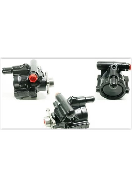 3301176 - Direksiyon Pompası Hidrolik Master Iıı 2.3 Dci 02-10 (100)