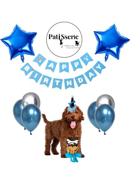 Köpekler Için Xl Parti Paketi ve Doğum Günü Pastası/ Mavi
