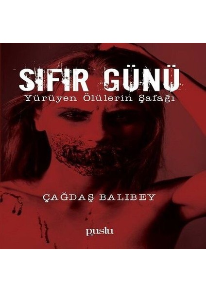 Sıfır Günü