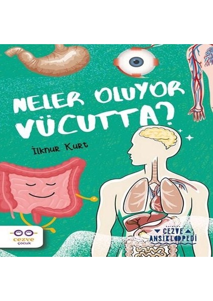 Neler Oluyor Vücutta ? - Cezve Ansiklopedi