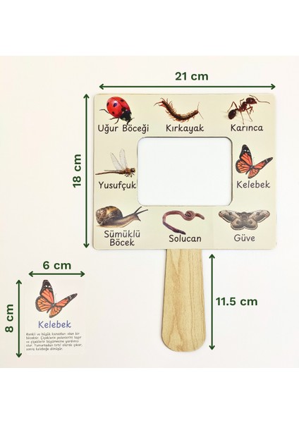 Böcek Gözlem ve Tanıma Seti – Çocuklar Için Böcek Öğrenme Aktivitesi | Doğa Gözlem Etkinliği | Çocuklar Için Ahşap Panolu Böcek Öğrenme Oyunu | Montessori Doğa Etkinliği