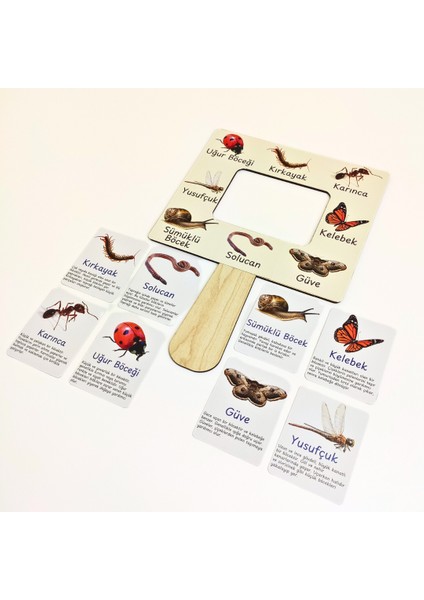 Böcek Gözlem ve Tanıma Seti – Çocuklar Için Böcek Öğrenme Aktivitesi | Doğa Gözlem Etkinliği | Çocuklar Için Ahşap Panolu Böcek Öğrenme Oyunu | Montessori Doğa Etkinliği modelleri