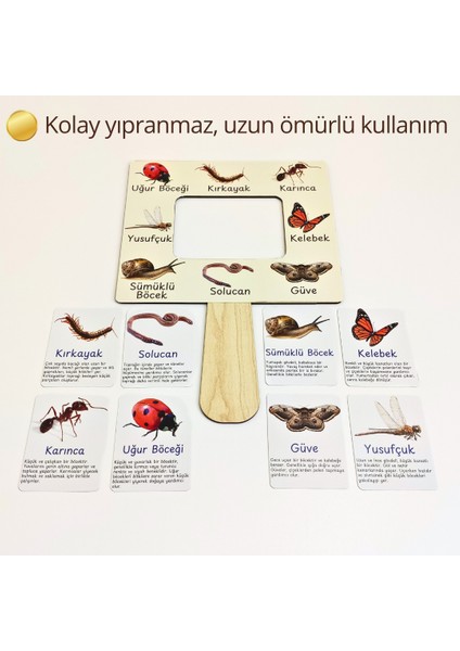 Böcek Gözlem ve Tanıma Seti – Çocuklar Için Böcek Öğrenme Aktivitesi | Doğa Gözlem Etkinliği | Çocuklar Için Ahşap Panolu Böcek Öğrenme Oyunu | Montessori Doğa Etkinliği fırsatları