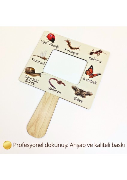 Böcek Gözlem ve Tanıma Seti – Çocuklar Için Böcek Öğrenme Aktivitesi | Doğa Gözlem Etkinliği | Çocuklar Için Ahşap Panolu Böcek Öğrenme Oyunu | Montessori Doğa Etkinliği
